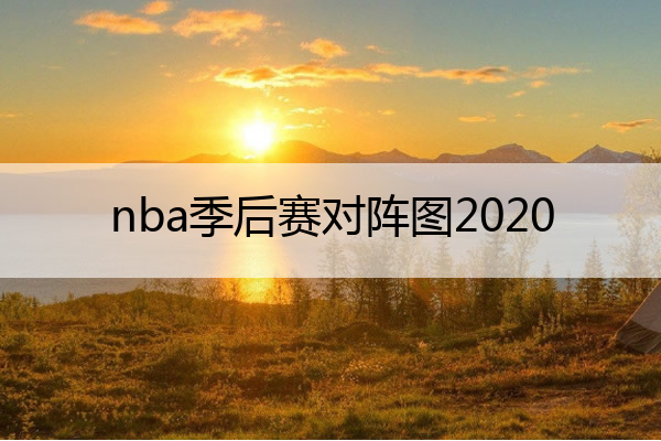 nba季后赛对阵图2020,nba季后赛对阵图2023