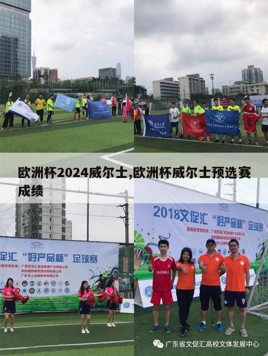 欧洲杯2024威尔士,欧洲杯威尔士预选赛成绩