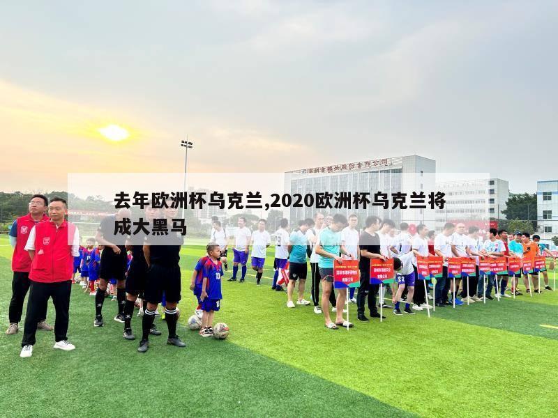 去年欧洲杯乌克兰,2020欧洲杯乌克兰将成大黑马