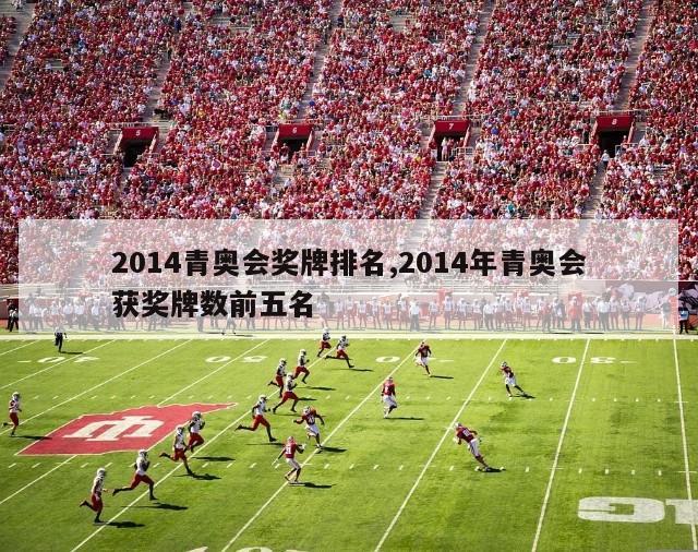 2014青奥会奖牌排名,2014年青奥会获奖牌数前五名