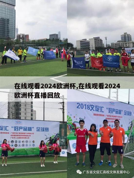 在线观看2024欧洲杯,在线观看2024欧洲杯直播回放